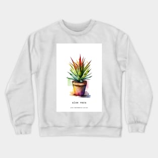 Aloe Vera, Mexican Plant Crewneck Sweatshirt